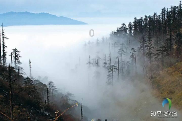 生化危机：浣熊市行动
