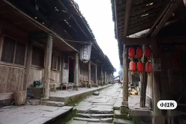地球守护者